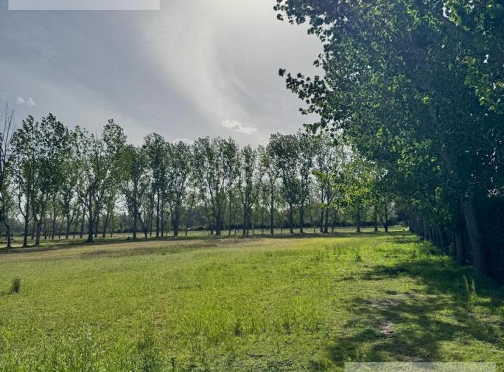 Terreno · 73000m²