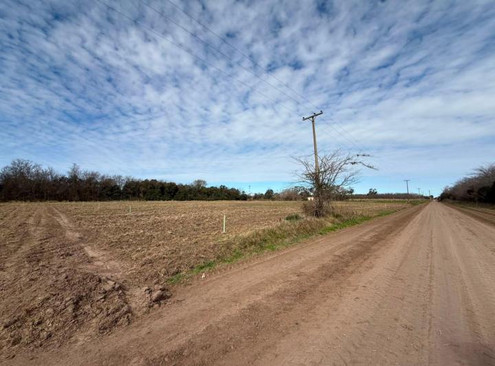 Terreno · 833m²