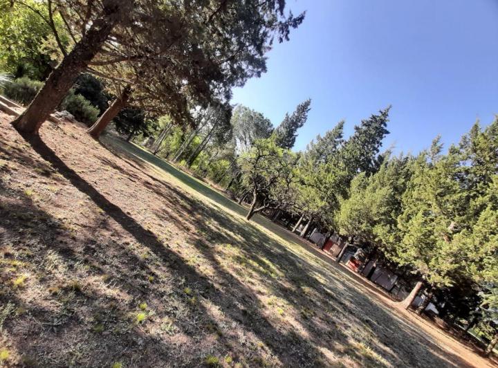 Terreno · 2546m²