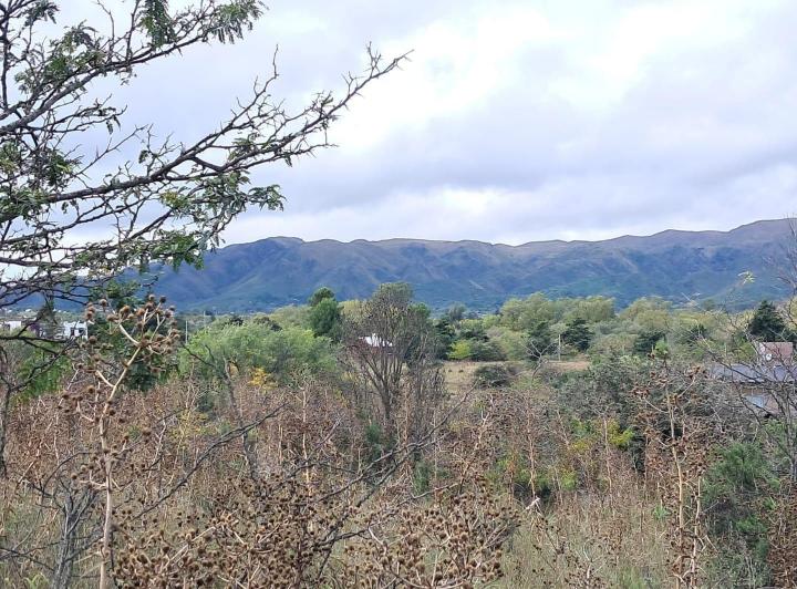 Terreno · 5550m² · 1 Ambiente