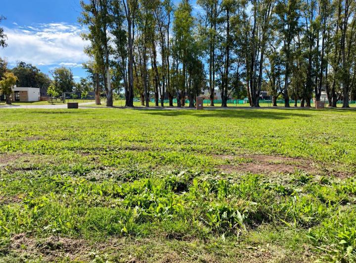 Terreno · 489m²