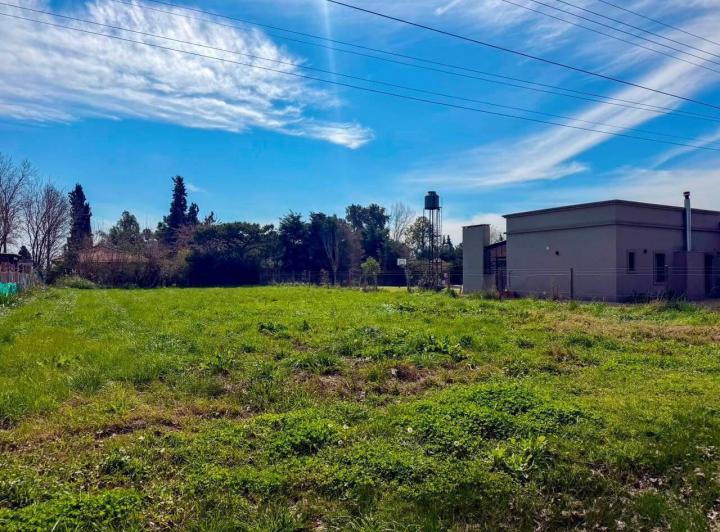 Terreno · 1000m²