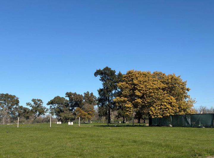 Terreno · 900m²