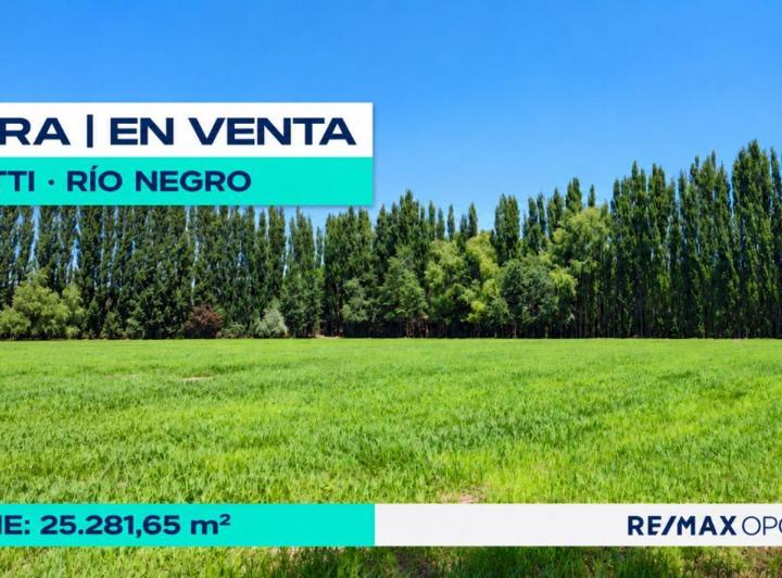 Campo · 3ha