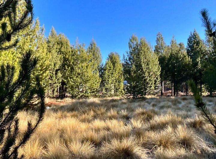 Terreno · 1177m²