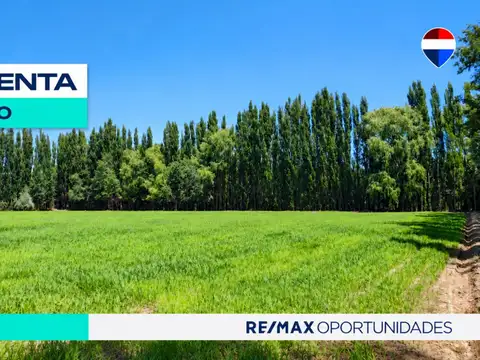 Chacra en venta de 2,5 hectáreas en cipolletti