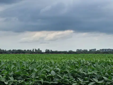 Venta 16 hectareas agricolas colonia caroya cba