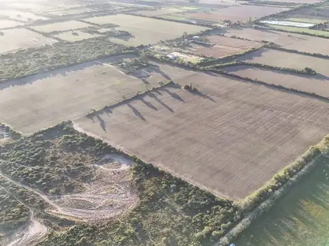 Oportunidad venta campo 23 hectareas para cultivo