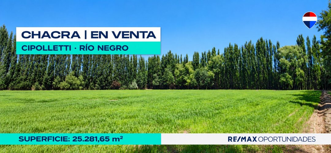 CHACRA EN VENTA DE 2,5 HECTÁREAS EN CIPOLLETTI