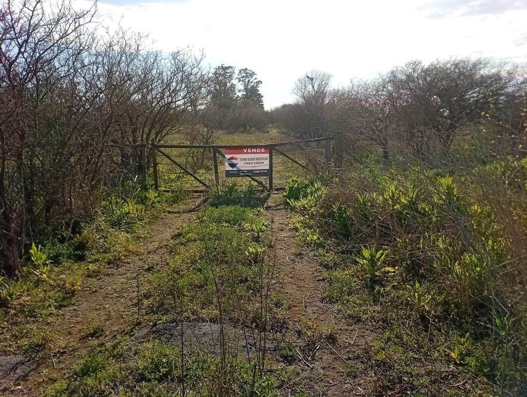 VENTA DE CAMPO en Melincué sobre Ruta 93
