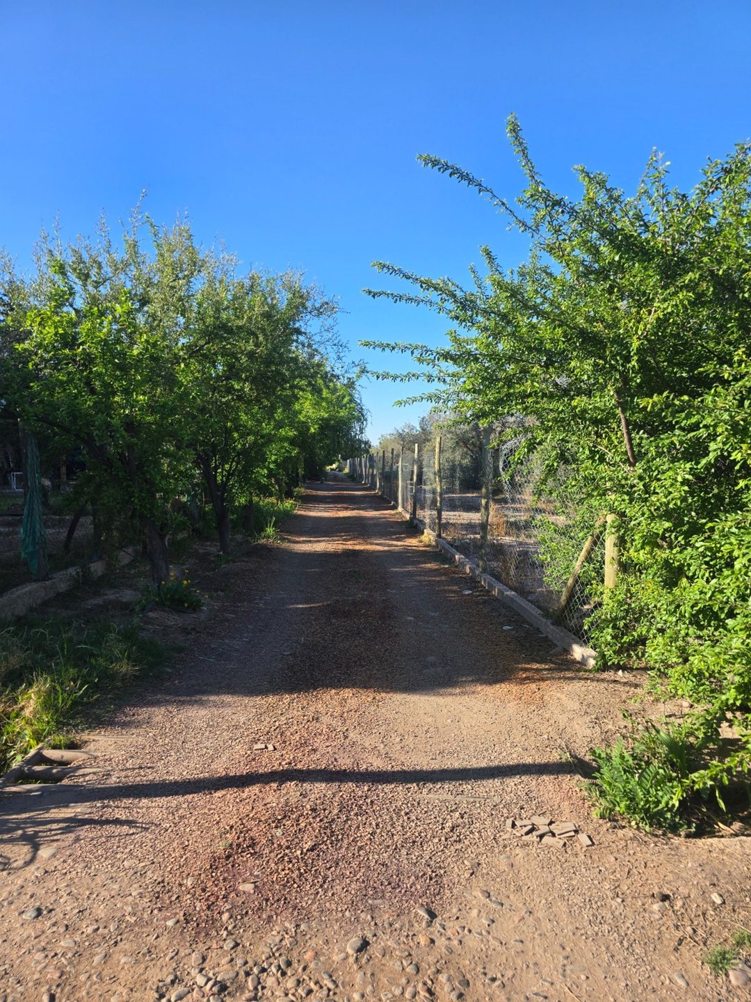 Lote de 3.300 m² en Coquimbito, Maipú –Calle Mitre