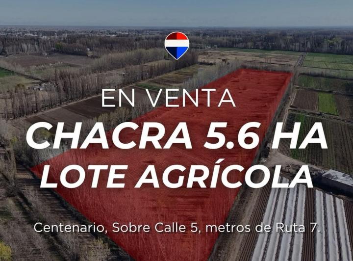 Campo · 5ha