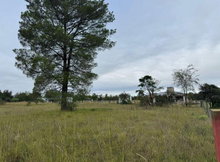 Terreno · 2000m²