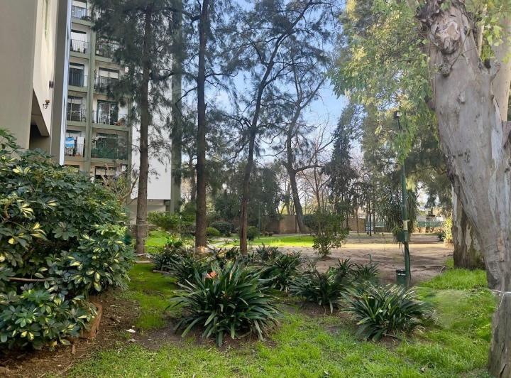 Departamento · 50m² · 3 Ambientes