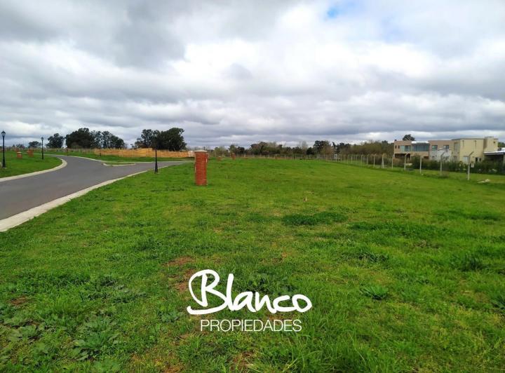 Terreno · 615m²