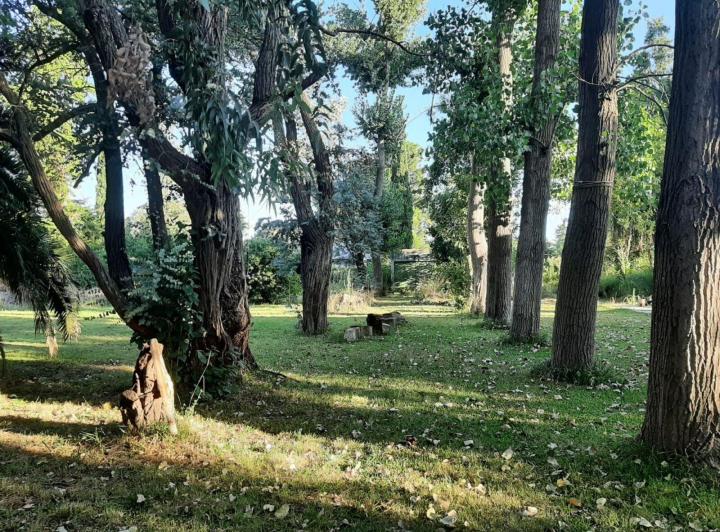 Terreno · 1000m²