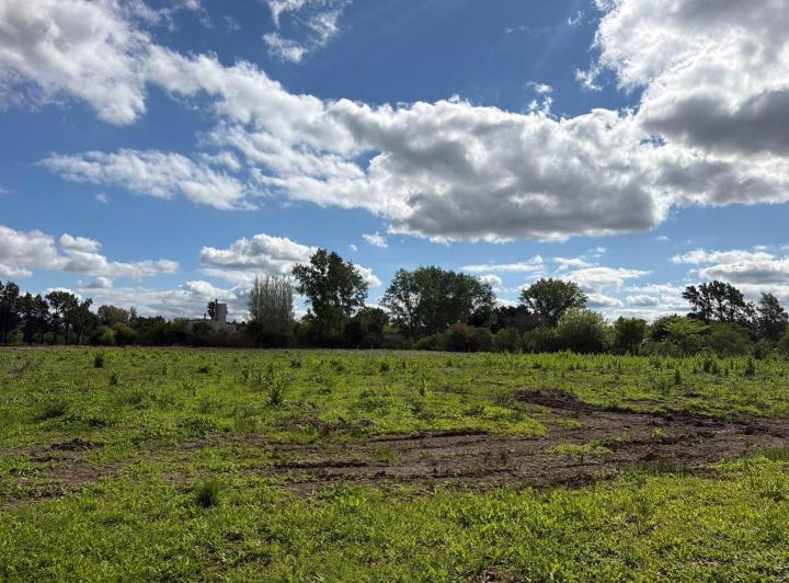 Terreno · 4382m²