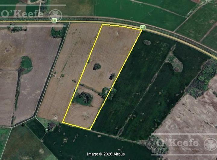 Campo · 290000ha