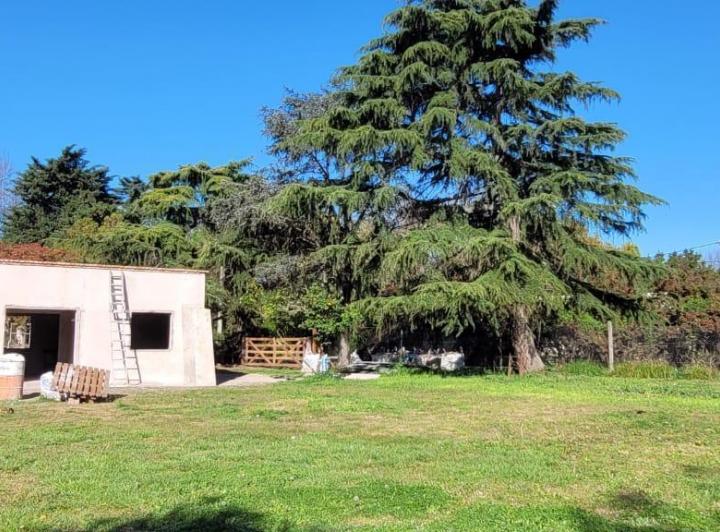 Casa · 800m² · 3 Ambientes