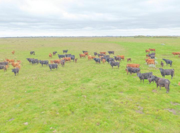 Campo · 392ha · 1 Ambiente