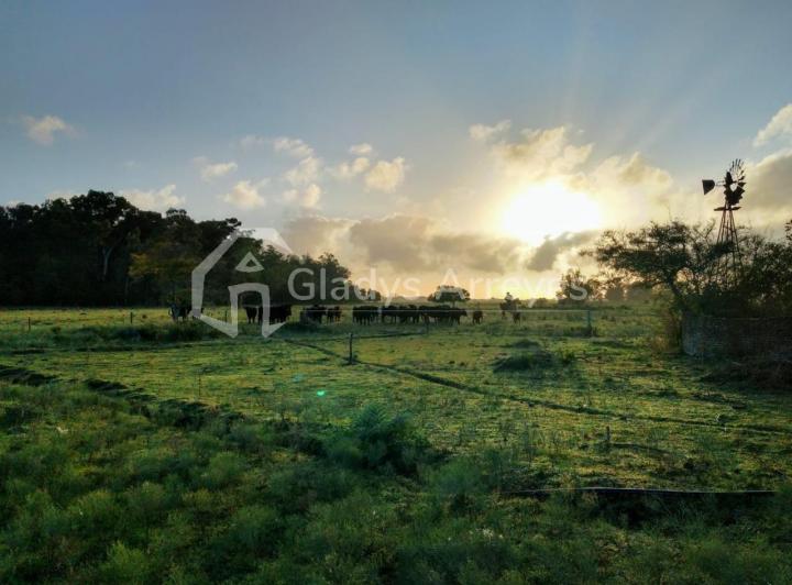 Campo · 296512m²