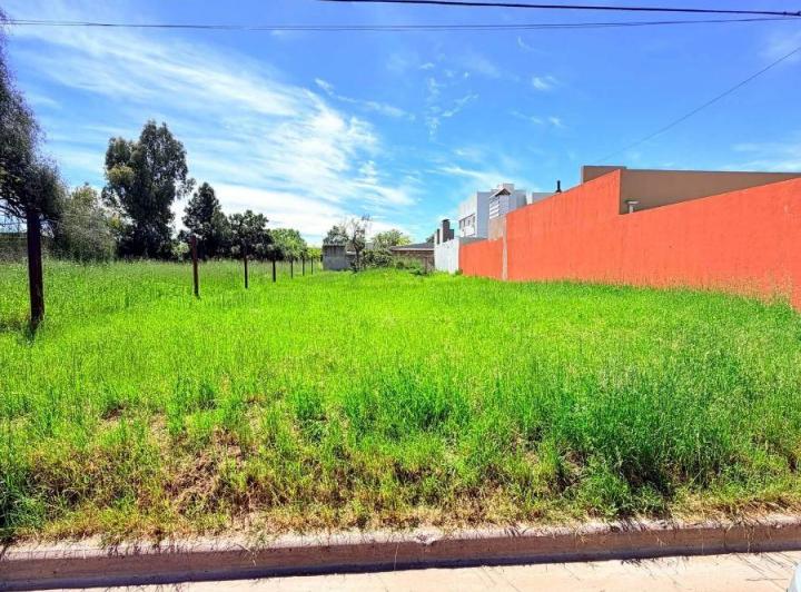 Terreno · 464m²