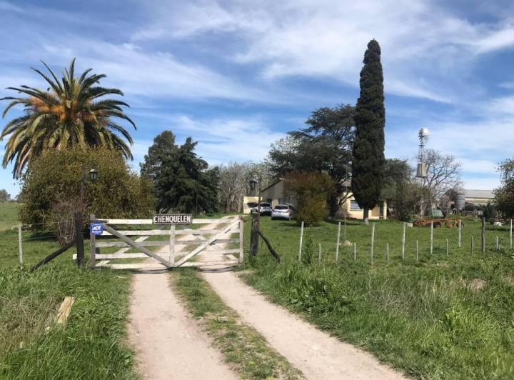 Campo · 63m²
