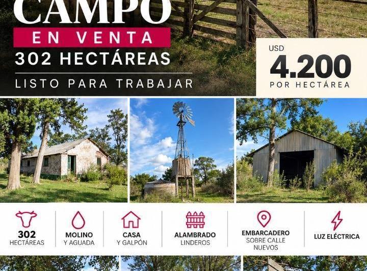Campo · 312m² · 3 Dormitorios