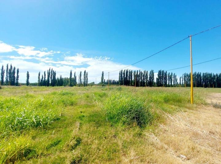 Terreno · 250m²