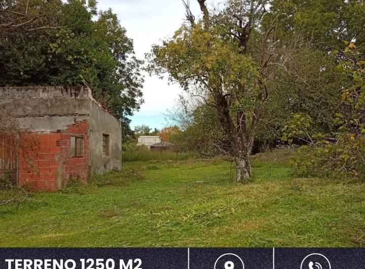 Terreno · 1250m²