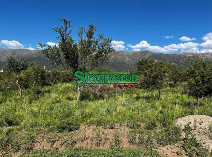 Terreno · 800m²