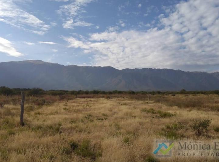 Terreno · 1000m²