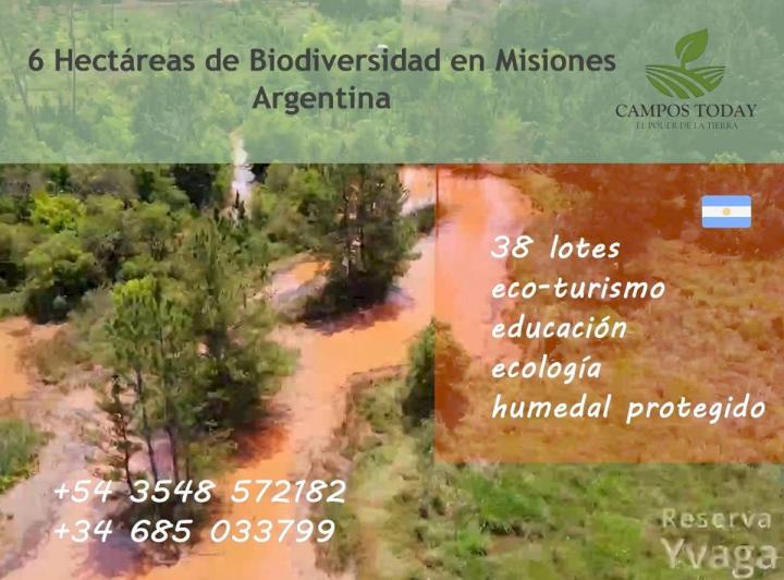 Campo · 6ha
