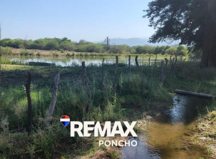 Campo · 100ha