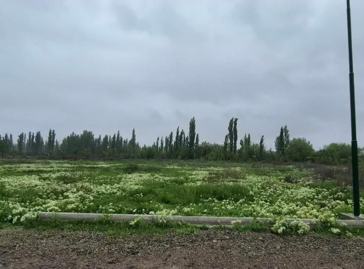 Terreno · 464m²