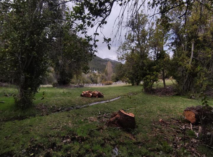 Campo · 10000ha