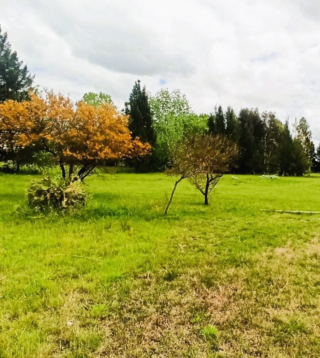 FRACCION DE CAMPO GUERNICA VENTA