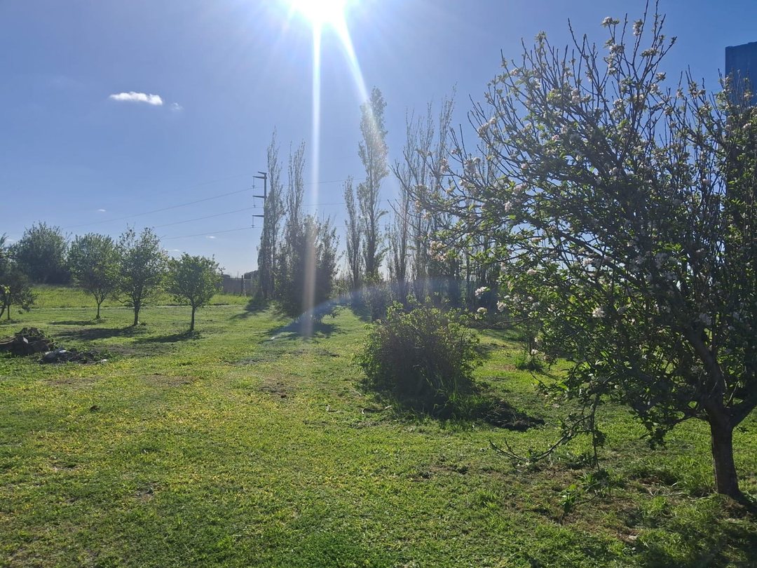 VENTA DE EXCELENTE LOTE EN FIRMAT