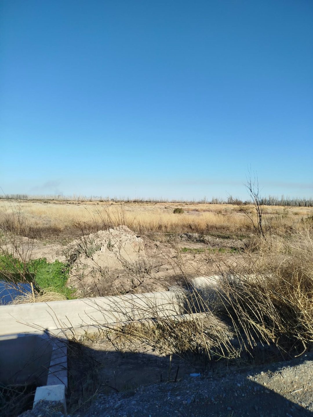 Campo de 48 Has en Jocoli, Lavalle