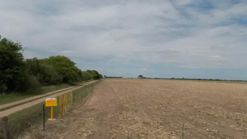 EXCELENTE CAMPO 8 HAS - APTO LOTEO - LOTEO