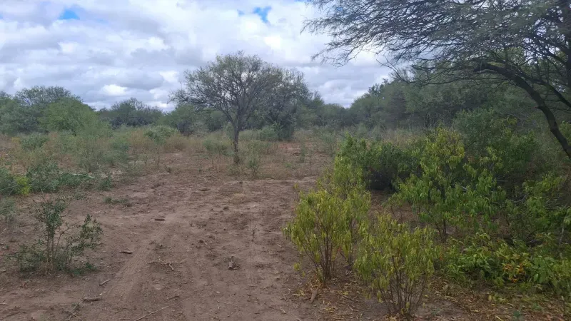 VENDO 41 HAS - A 8 KM DEL VILLA DEL SOTO