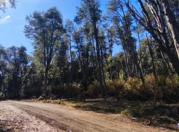 Terreno · 4600m²