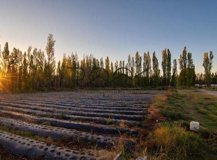 Terreno · 60000m²