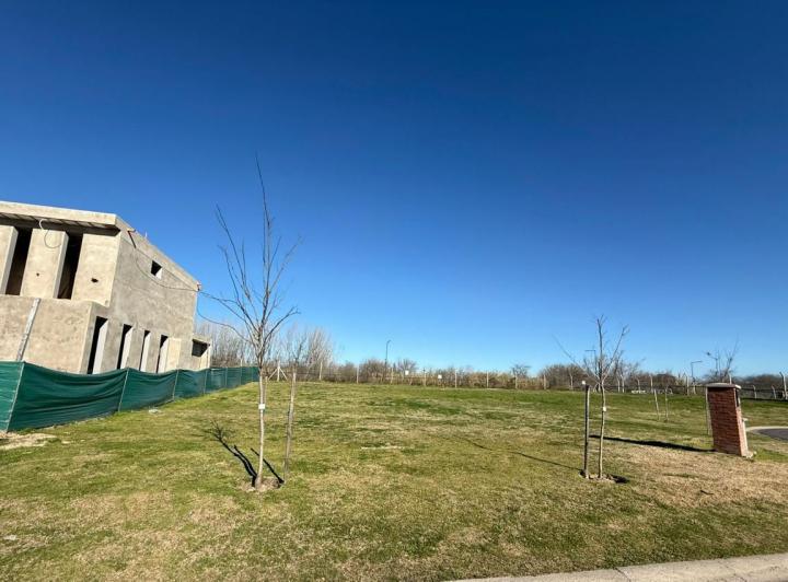 Terreno · 560m²