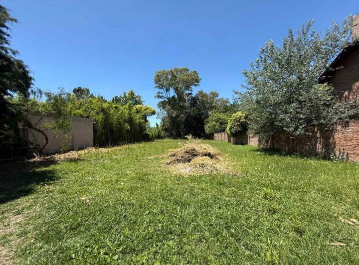 Terreno · 1377m²