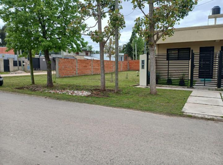 Terreno · 202m²