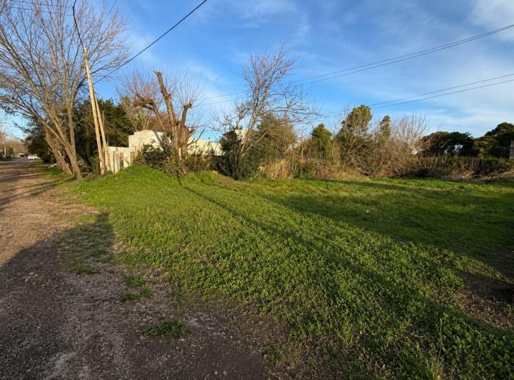 Terreno · 800m²