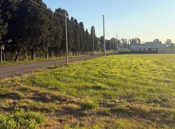 Terreno · 800m²