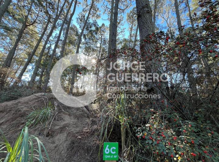 Terreno · 1644m²