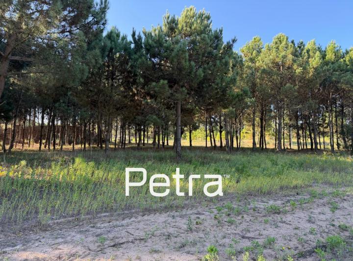 Terreno · 796m²